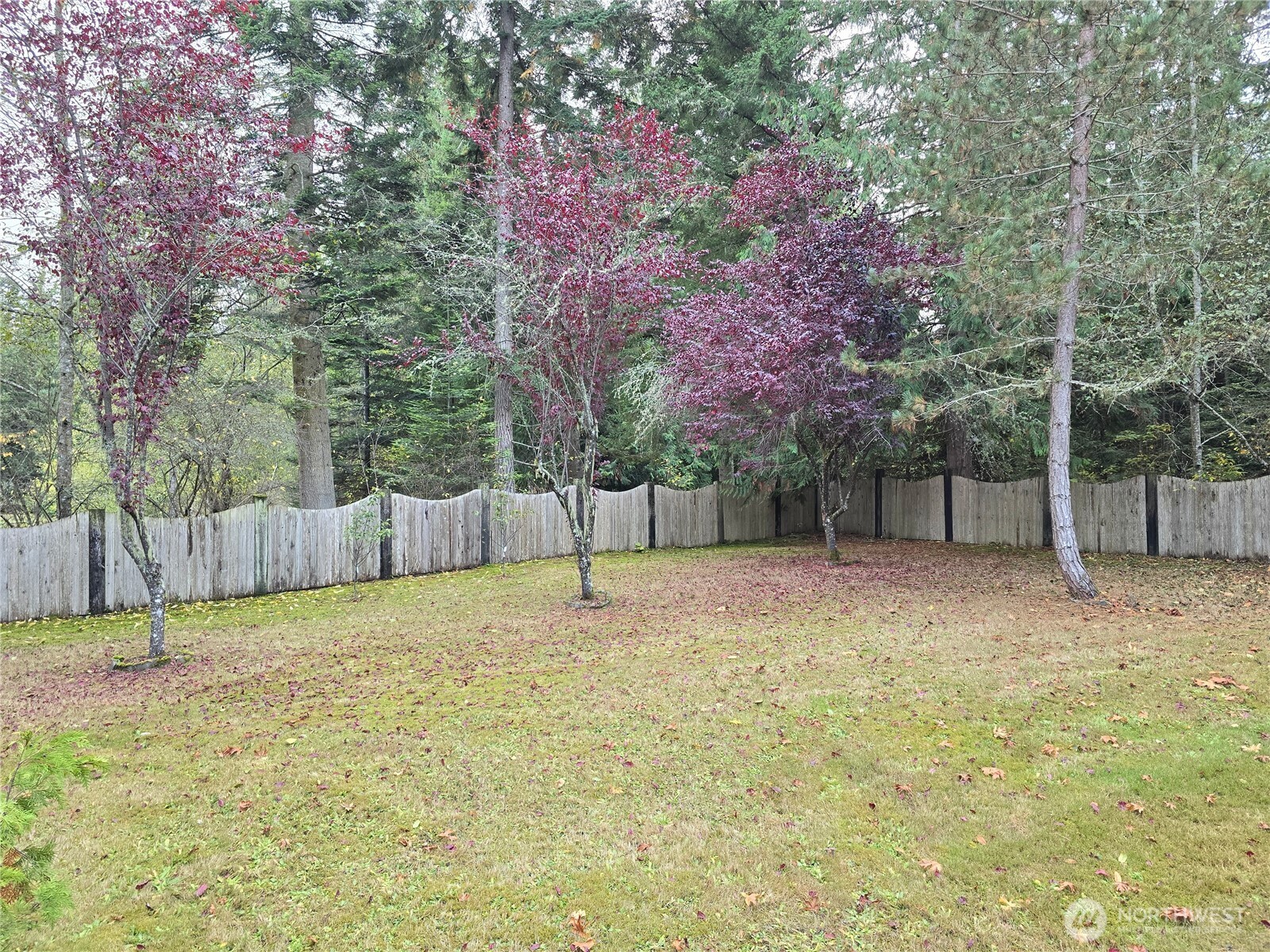 639 Lower Elwha Road Port Angeles, WA 98363 - Photo 6 of 38 a backyard of a house with lots of trees