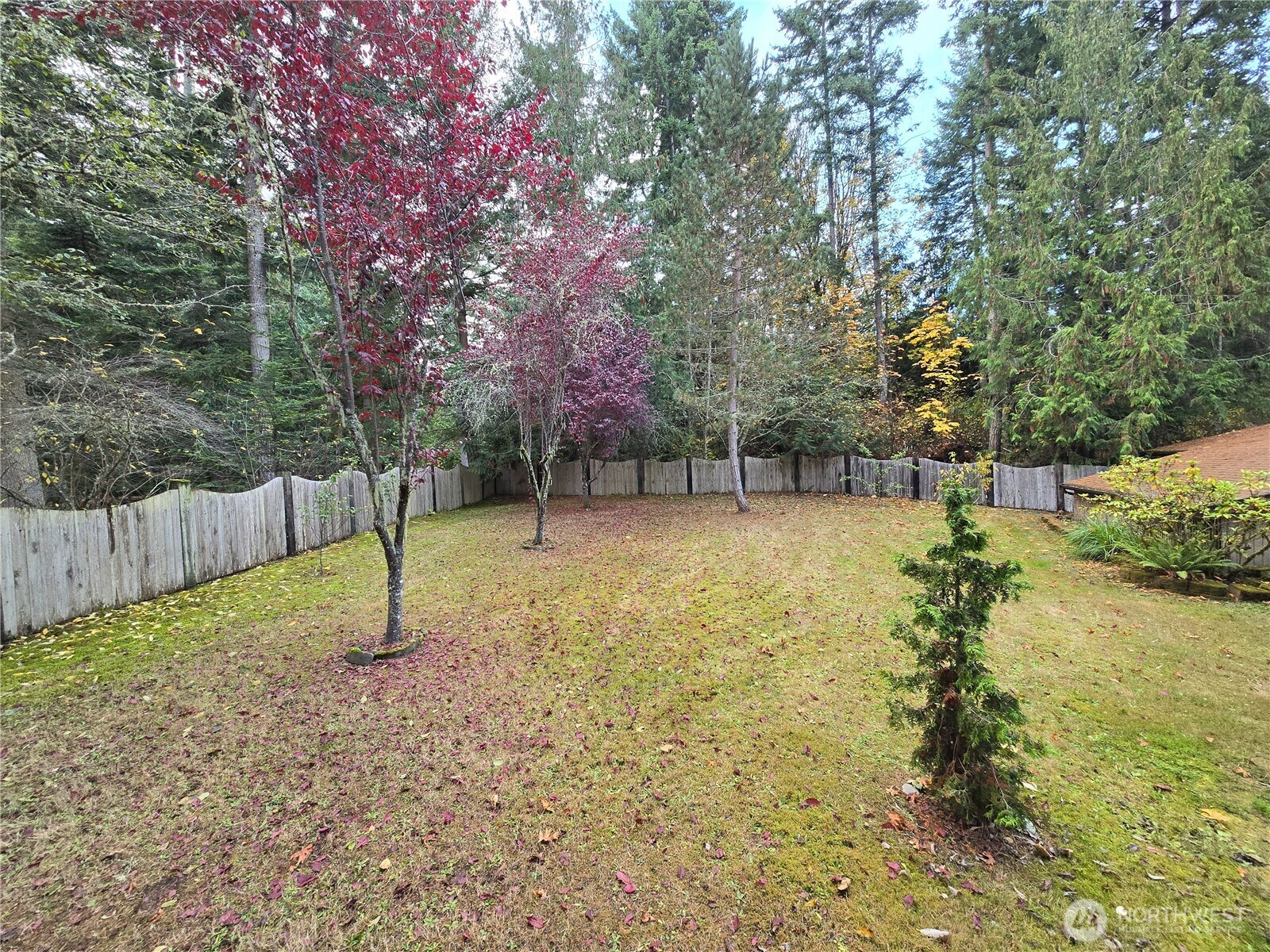 639 Lower Elwha Road Port Angeles, WA 98363 - Photo 7 of 38 a view of a park with a tree