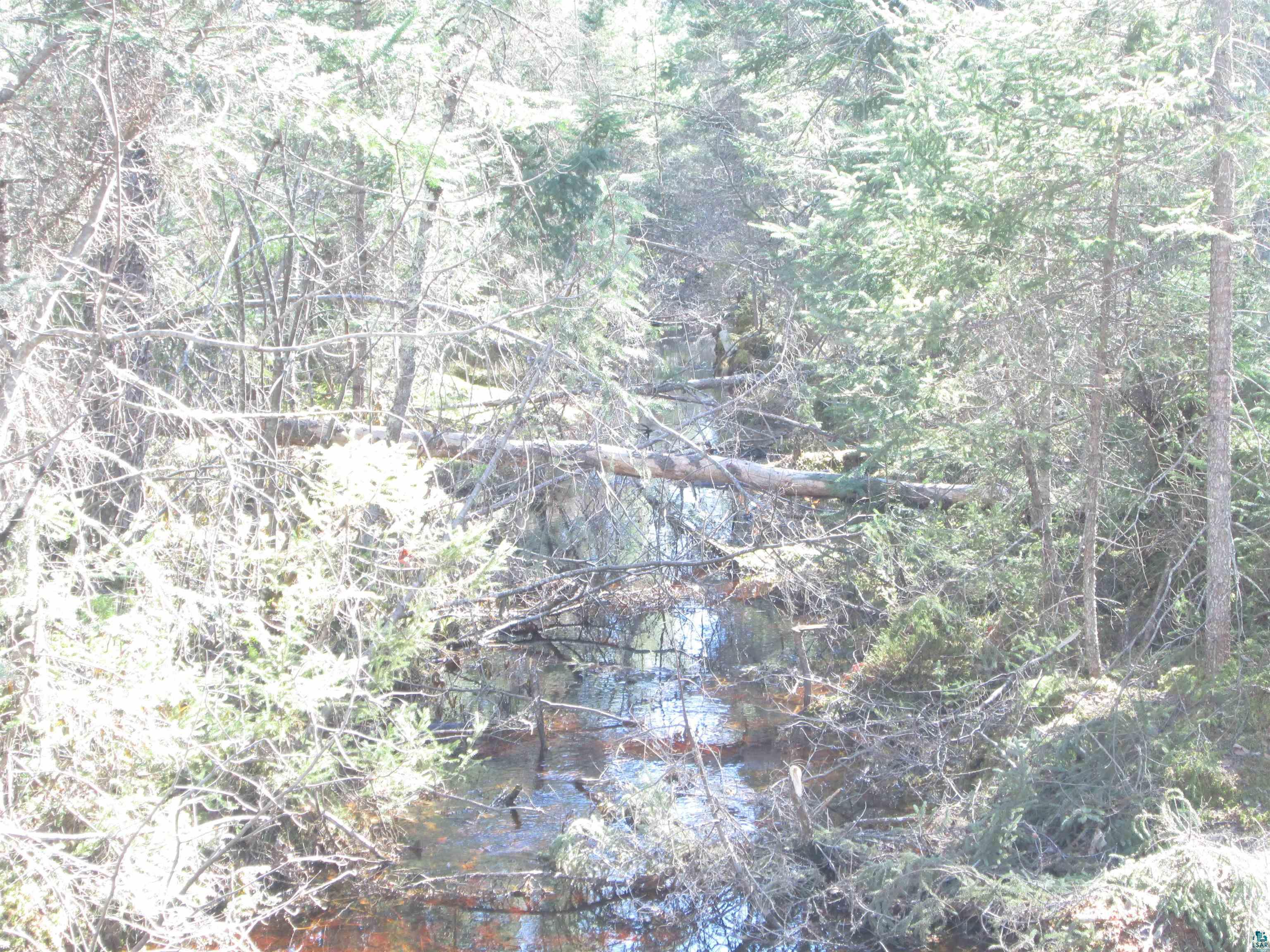 Lot 2-40 Acres County Road South Range, WI 54874 - Photo 8 of 39 Gallery Image 8