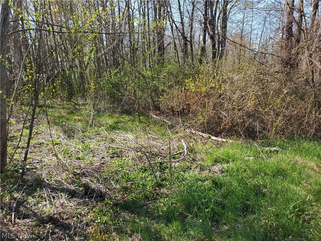North County Line Road Geneva, OH 44041 - Photo 1 of 3