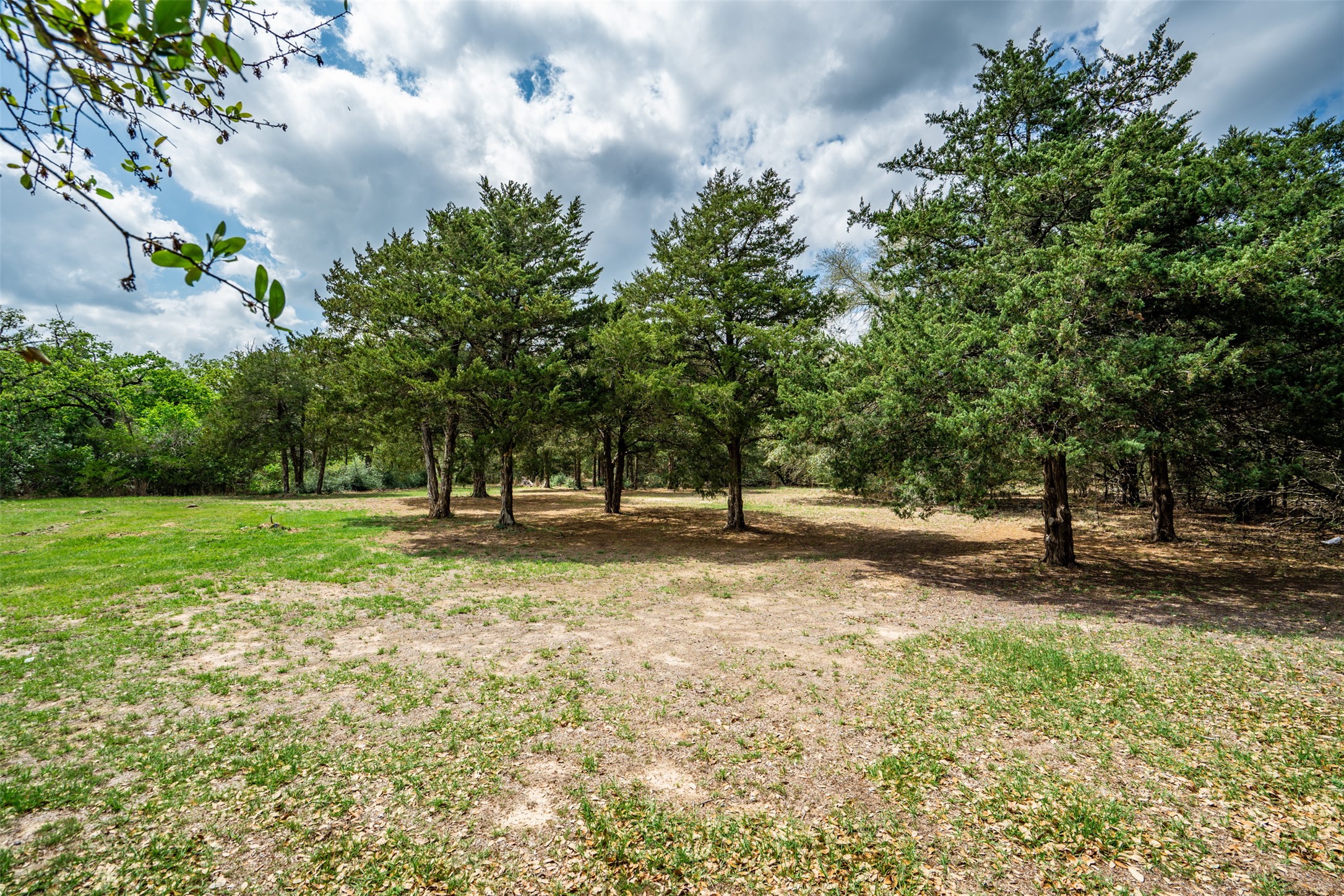 1354 Old Pin Oak Road Paige, TX 78659 - Photo 30 of 37 a view of a tree in a yard