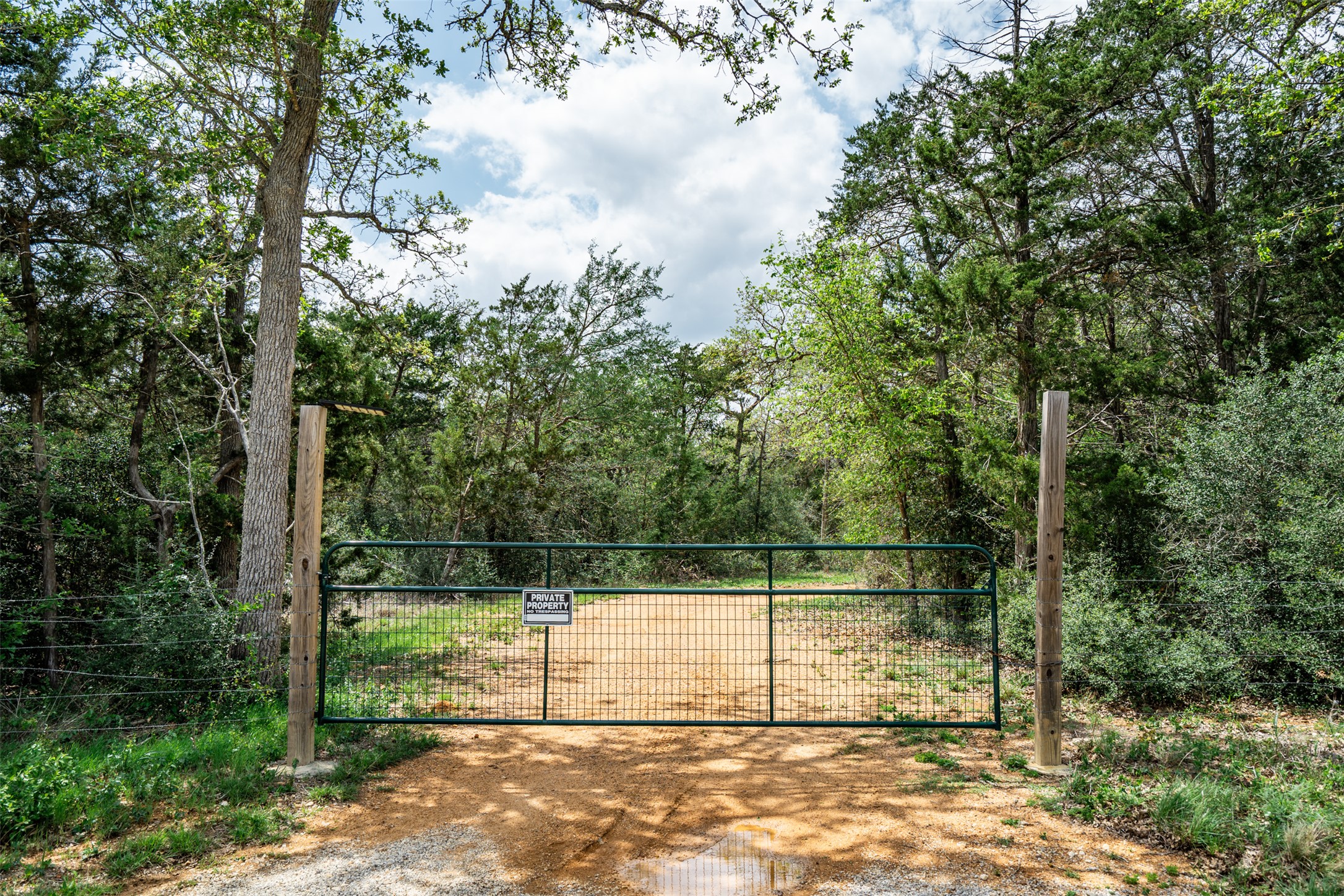 1354 Old Pin Oak Road Paige, TX 78659 - Photo 3 of 37 a view of a backyard