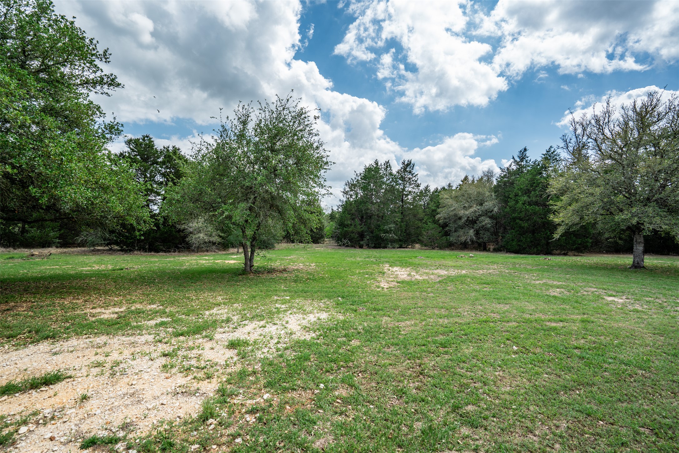 1354 Old Pin Oak Road Paige, TX 78659 - Photo 6 of 37 a view of a trees with a yard