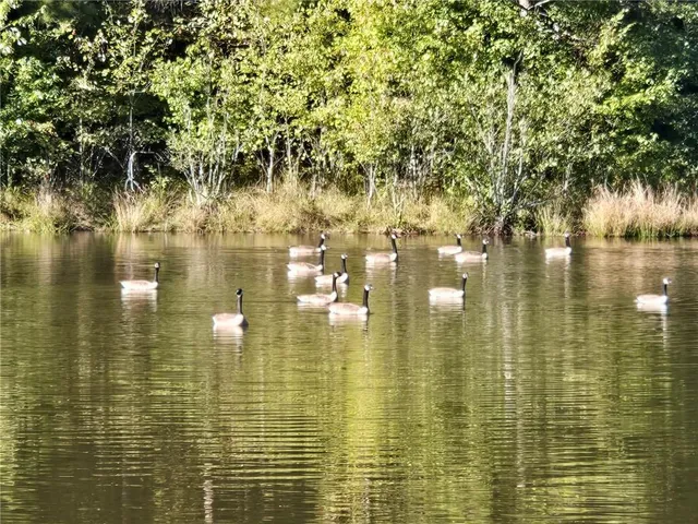 $1,599,900 | 6509 Lily Trail, Fairburn, GA 30213