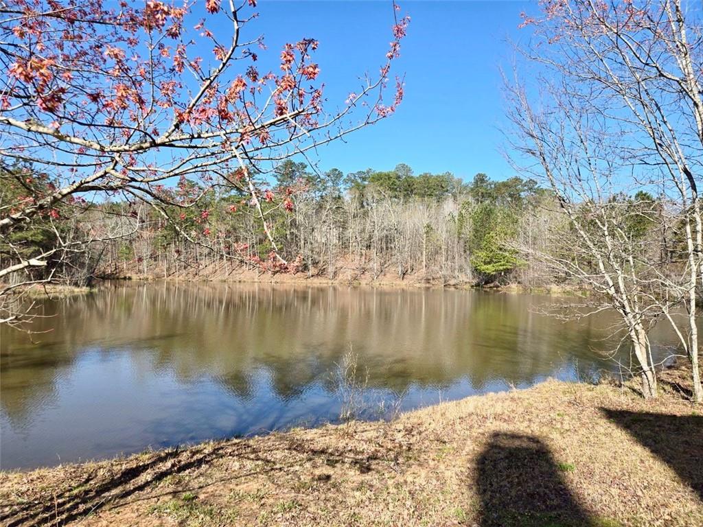 6509 Lily Trail Fairburn, GA 30213 - Photo 69 of 117 a view of lake