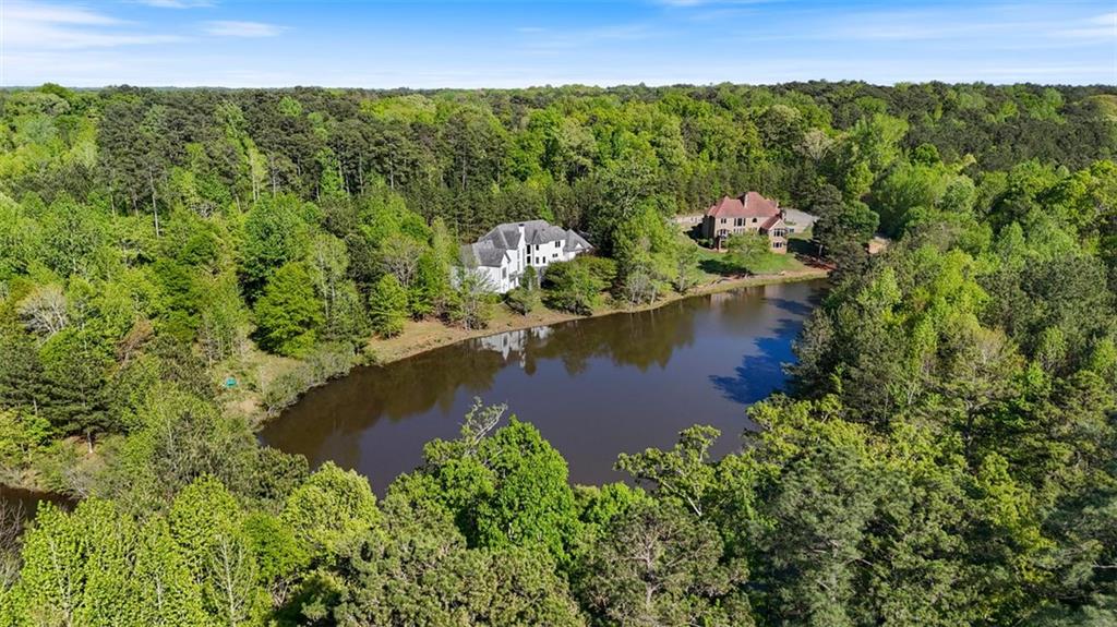 6509 Lily Trail Fairburn, GA 30213 - Photo 83 of 117 a view of a lake with a mountain in the background