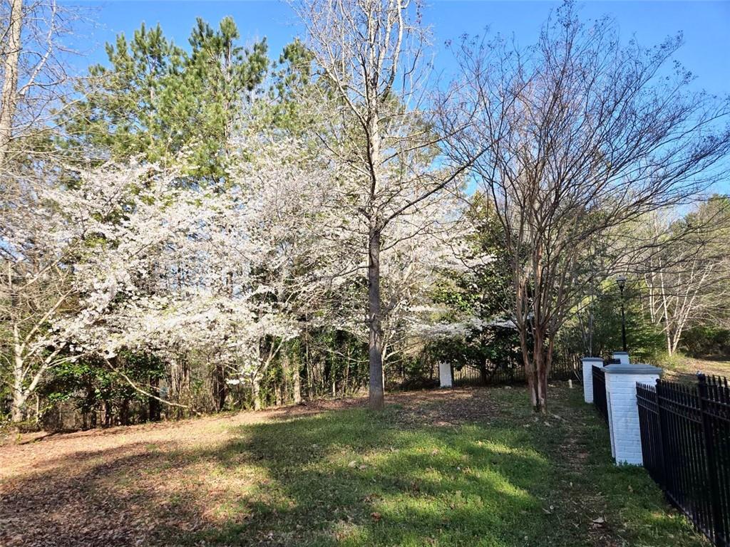 6509 Lily Trail Fairburn, GA 30213 - Photo 84 of 117 a view of backyard with outdoor space