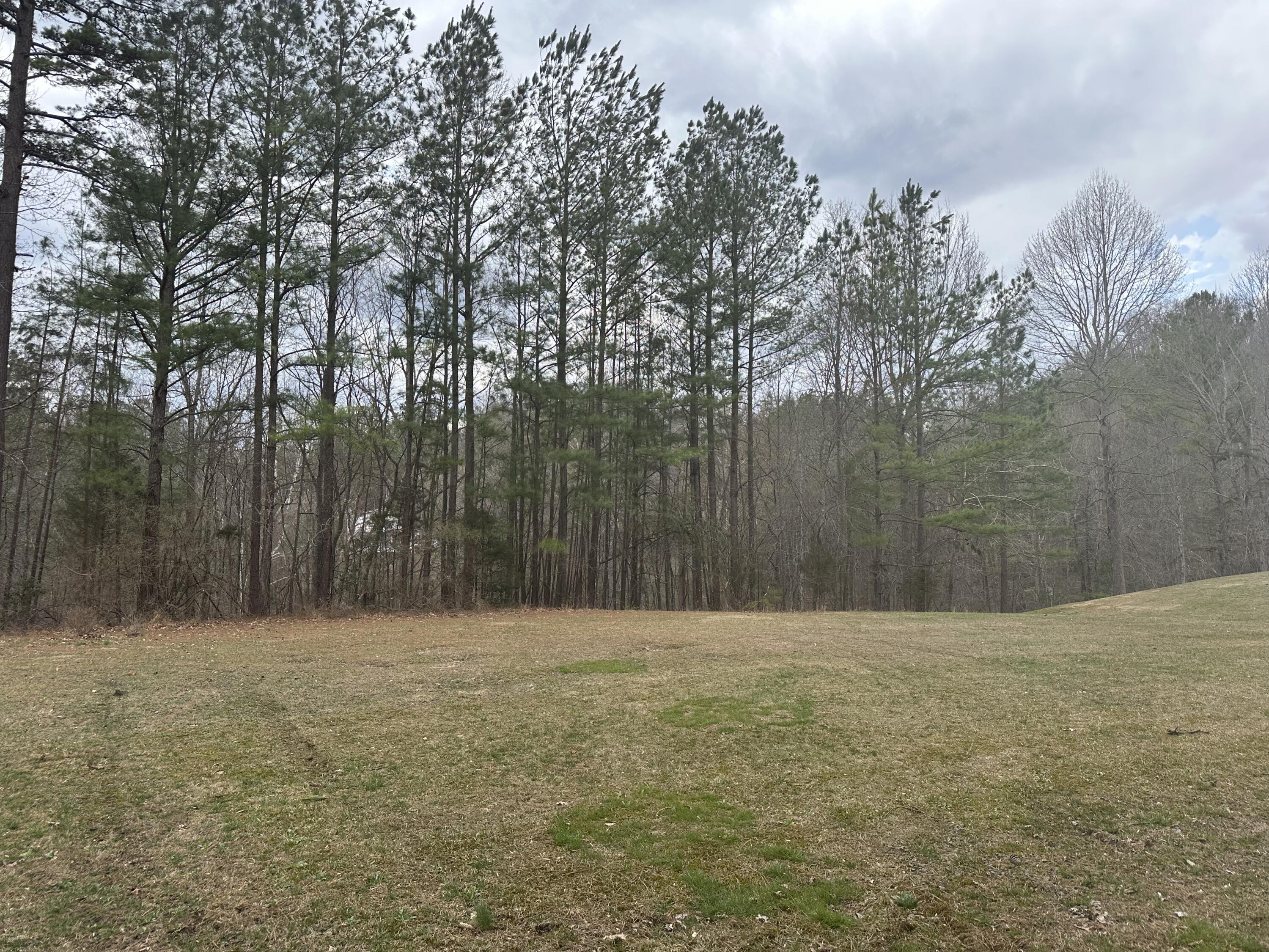 0 Colony Road, Unit LOT # 2/ SECTION C Manchester, KY 40962 - Photo 1 of 4 IMG_2283