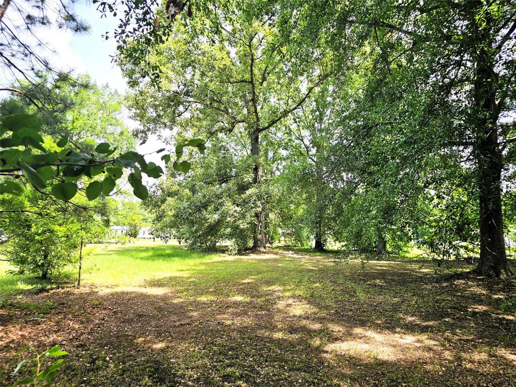 12910 Springhaven Drive Keithville, LA 71047 - Photo 29 of 33 Unfenced portion of the acreage