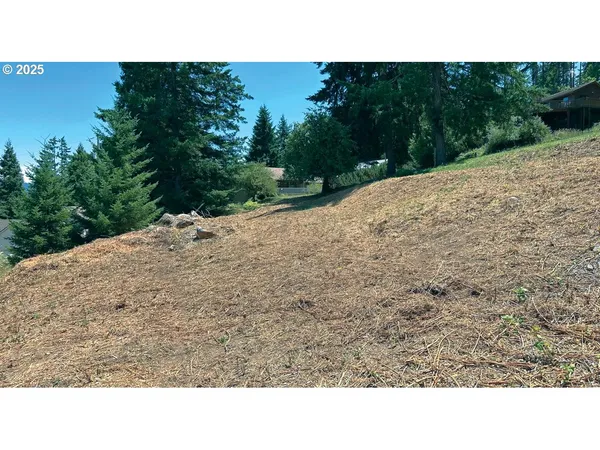 a open area with trees in the background