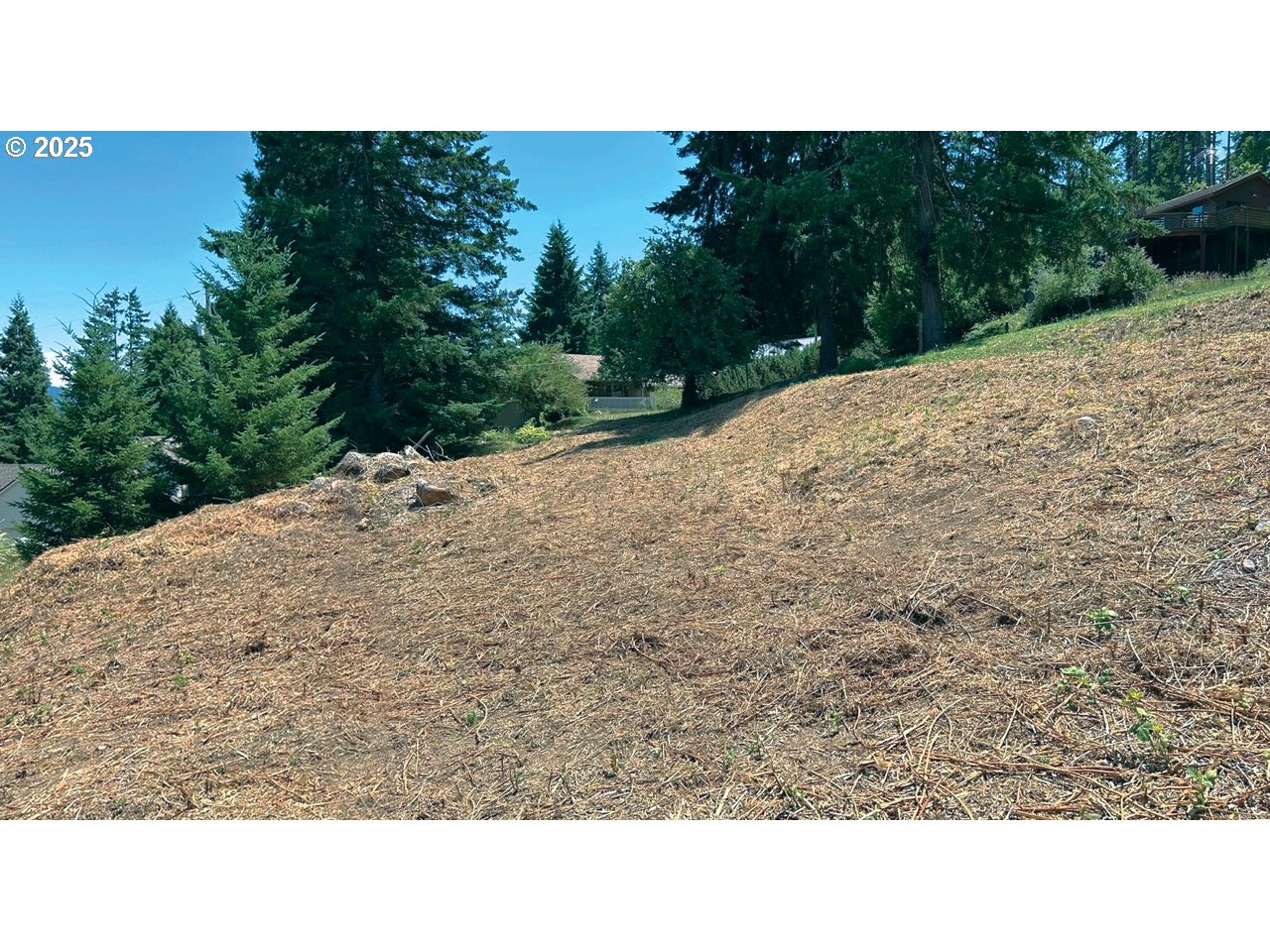 755 Holbrook Lane Creswell, OR 97426 - Photo 3 of 4 a open area with trees in the background