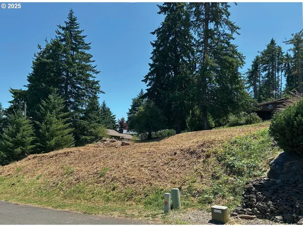 a view of a road with a snow in the background
