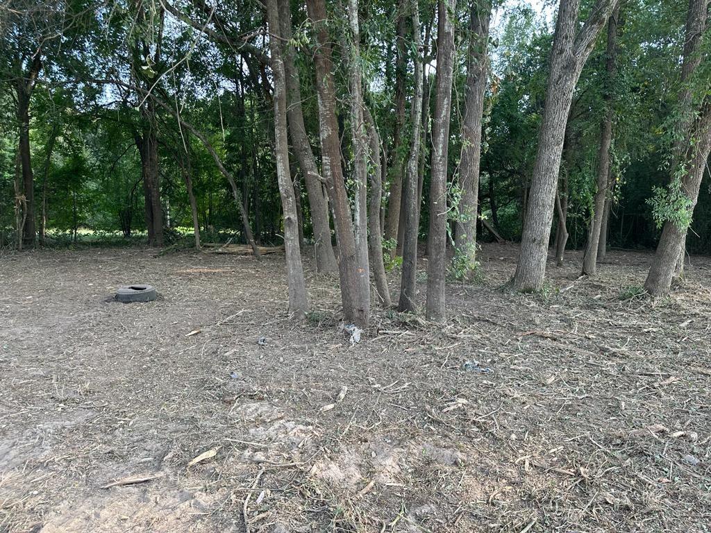 3110 West Gentry Parkway Tyler, TX 75702 - Photo 12 of 34 a view of a forest with trees in the background