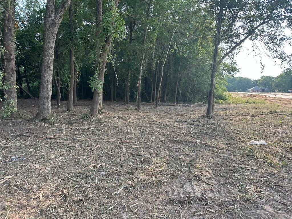 3110 West Gentry Parkway Tyler, TX 75702 - Photo 15 of 34 a large tree in the middle of a yard