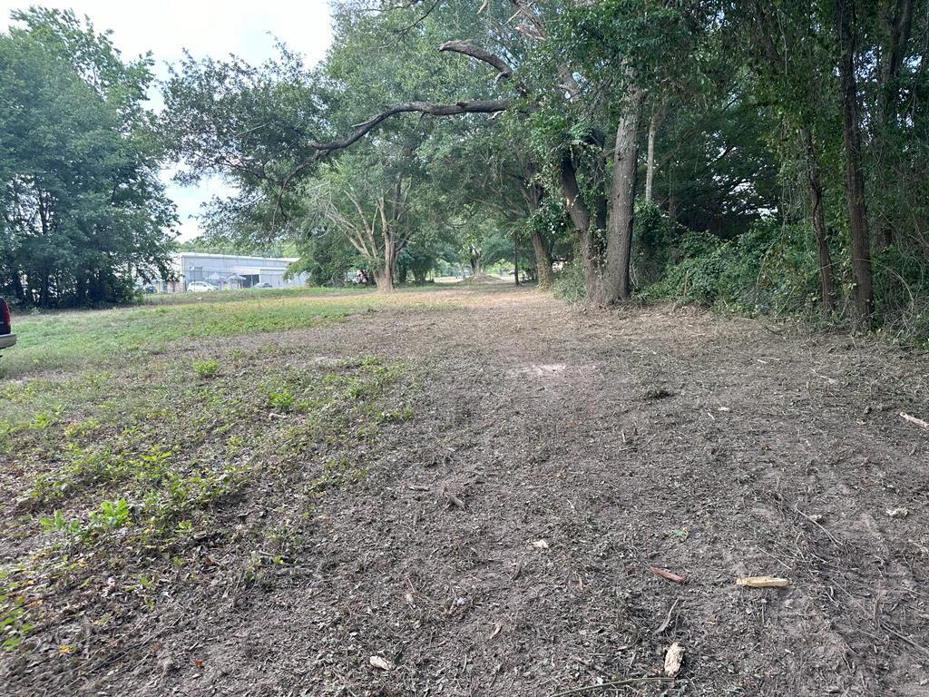 3110 West Gentry Parkway Tyler, TX 75702 - Photo 16 of 34 a view of outdoor space with trees all around
