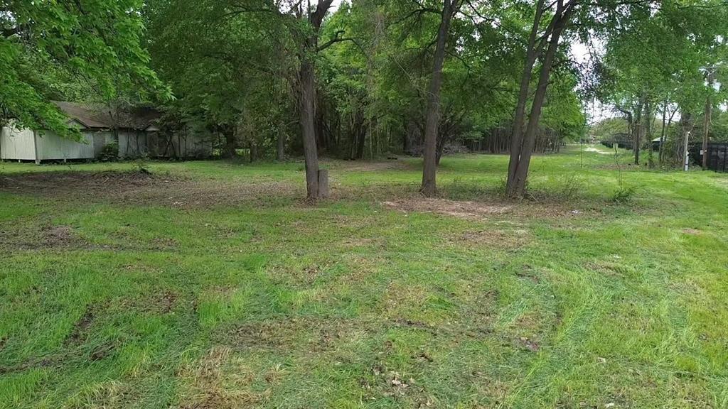 3110 West Gentry Parkway Tyler, TX 75702 - Photo 21 of 34 a view of a tree in a park