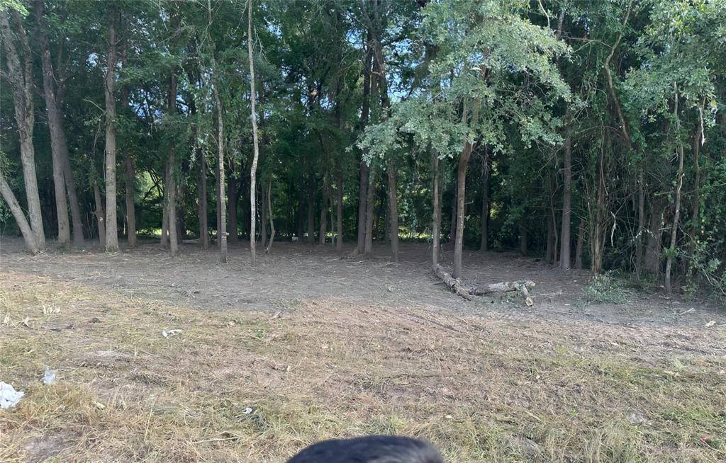 3110 West Gentry Parkway Tyler, TX 75702 - Photo 22 of 34 a view of outdoor space with trees all around