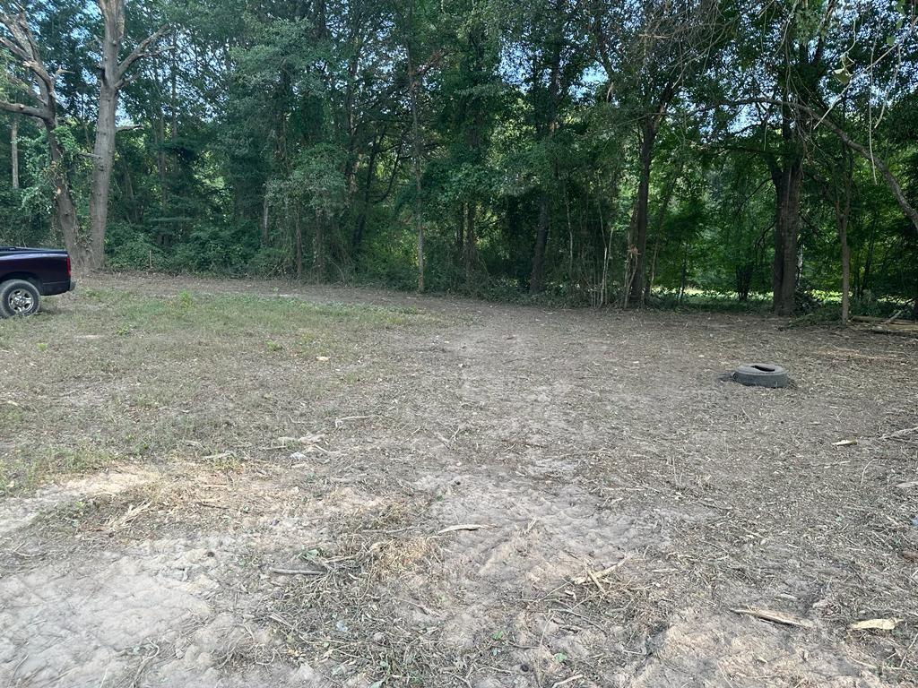 3110 West Gentry Parkway Tyler, TX 75702 - Photo 28 of 34 a view of outdoor space with trees