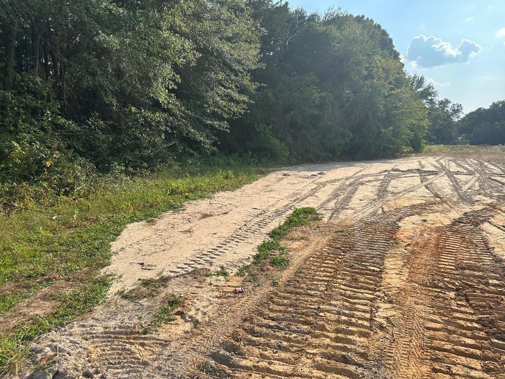 3110 West Gentry Parkway Tyler, TX 75702 - Photo 34 of 34 a view of a backyard of the house