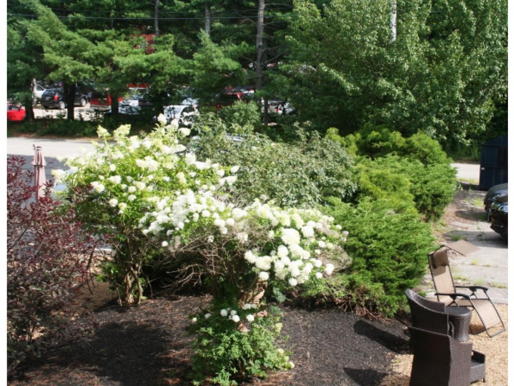 820 Lafayette Road Hampton, NH 03842 - Photo 11 of 22