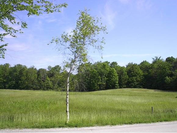 0 Pond Brook Road Hinesburg, VT 05461 - Photo 2 of 6