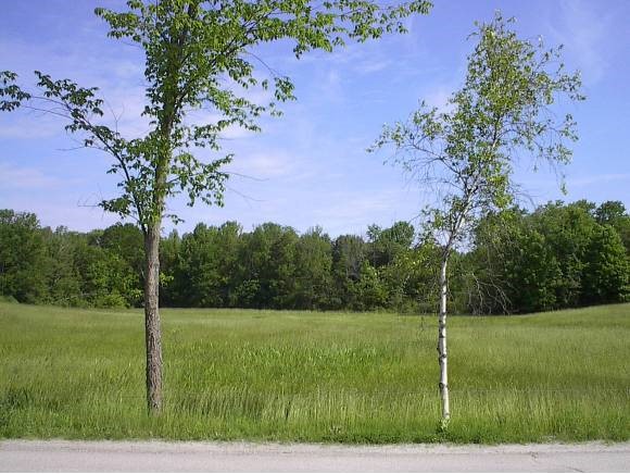 0 Pond Brook Road Hinesburg, VT 05461 - Photo 3 of 6