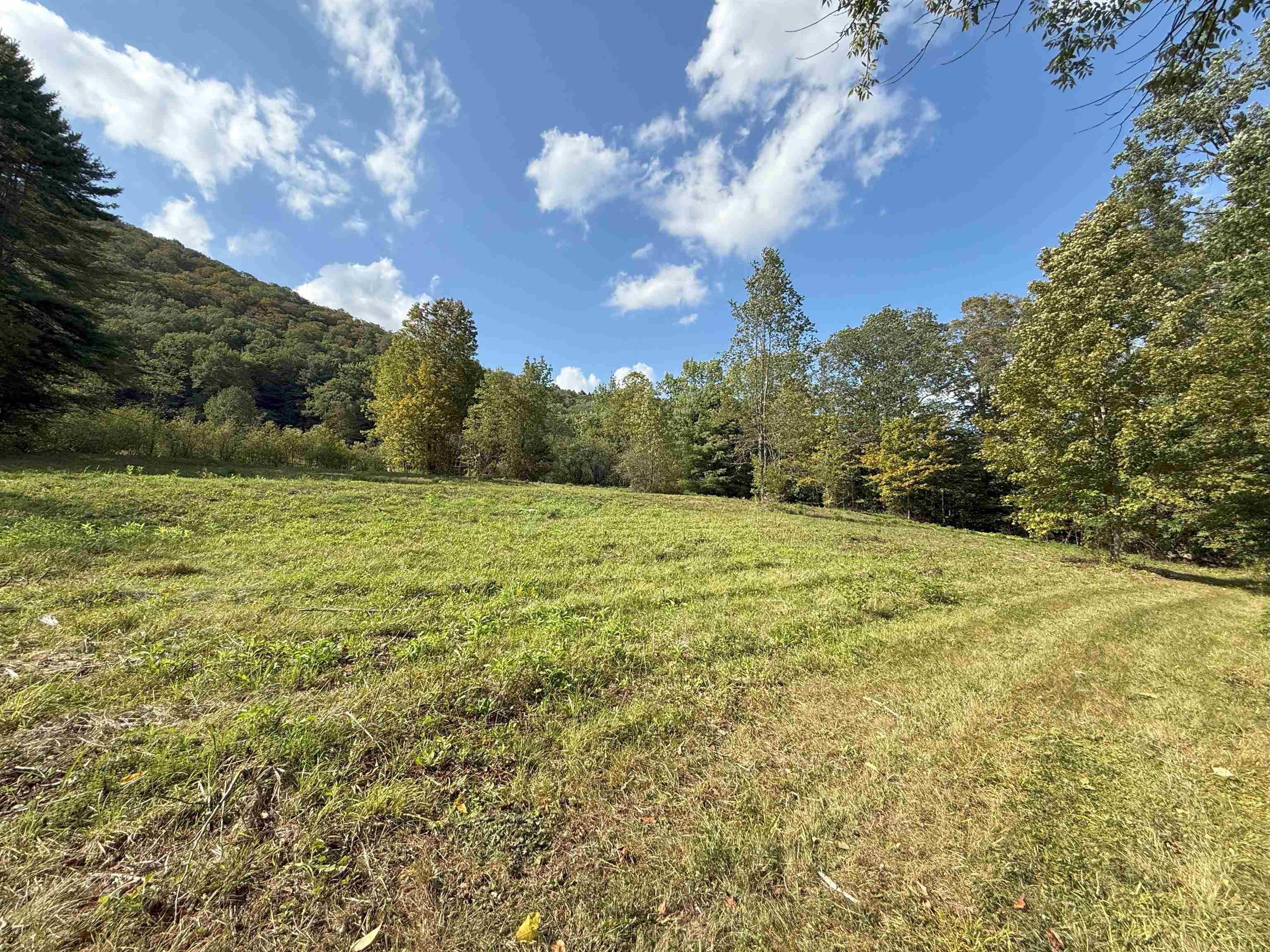 628 Townshend Road Grafton, VT 05146 - Photo 43 of 60