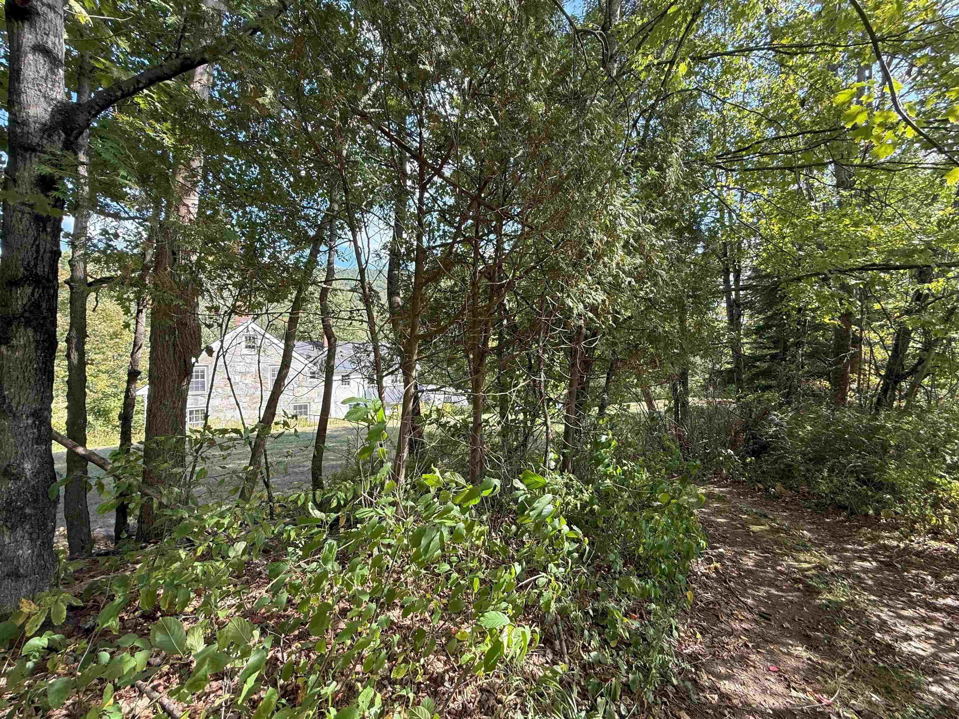 628 Townshend Road Grafton, VT 05146 - Photo 43 of 64