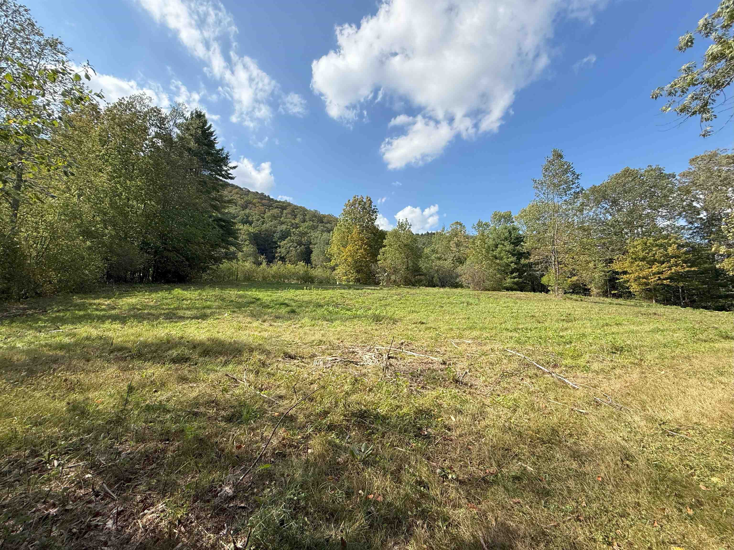 628 Townshend Road Grafton, VT 05146 - Photo 44 of 64