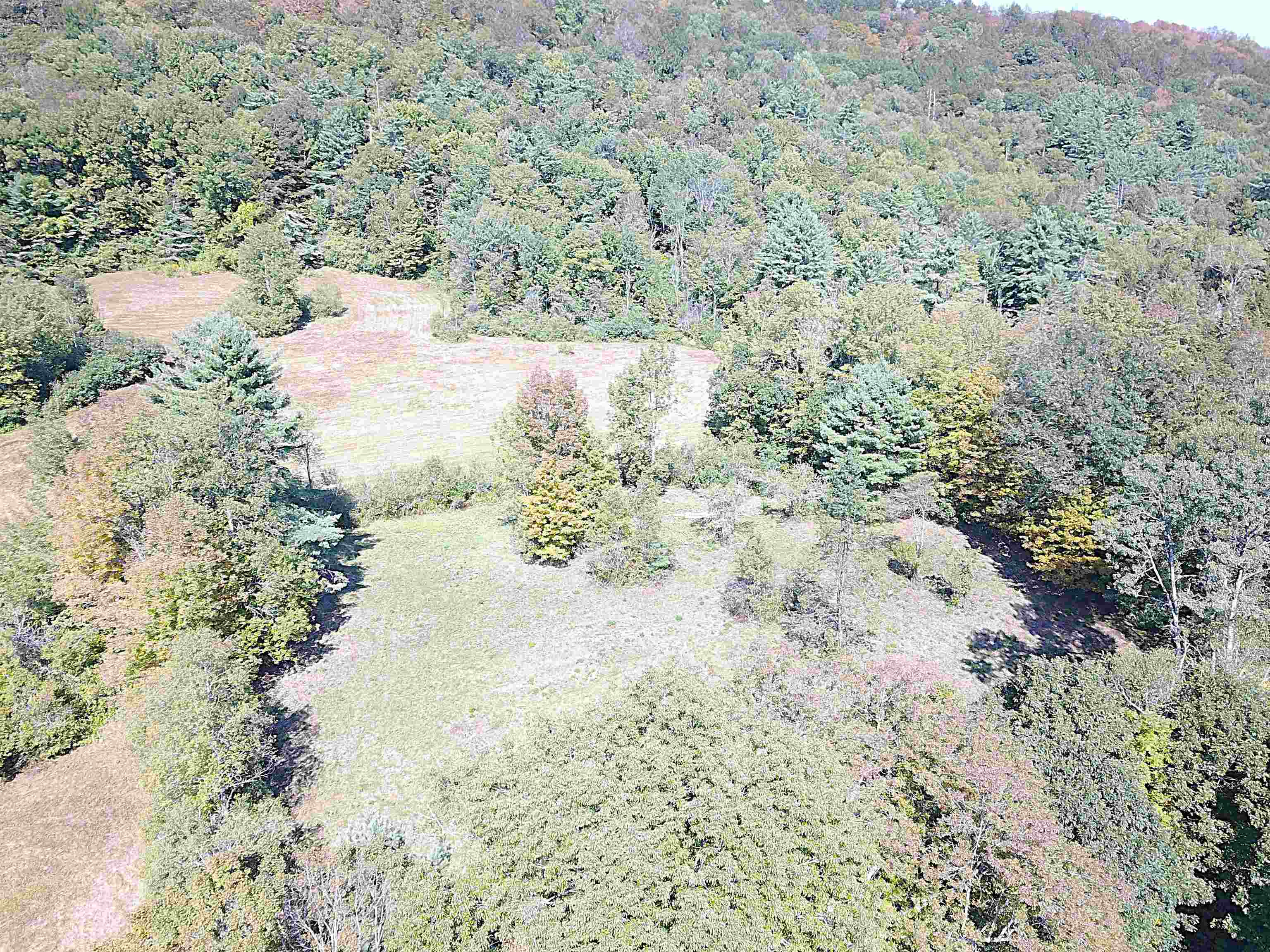 628 Townshend Road Grafton, VT 05146 - Photo 59 of 60