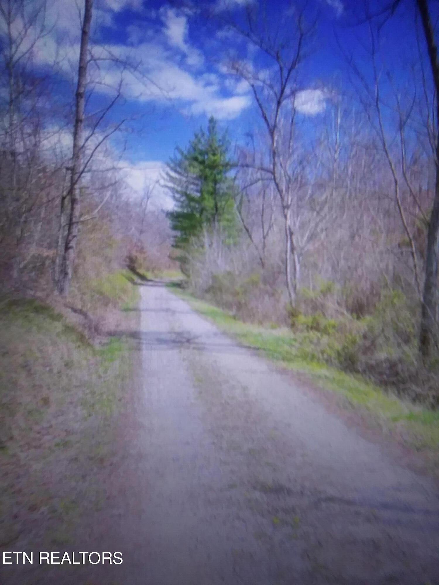 287 Edith Lane Washburn, TN 37888 - Photo 4 of 8 20231028_165648