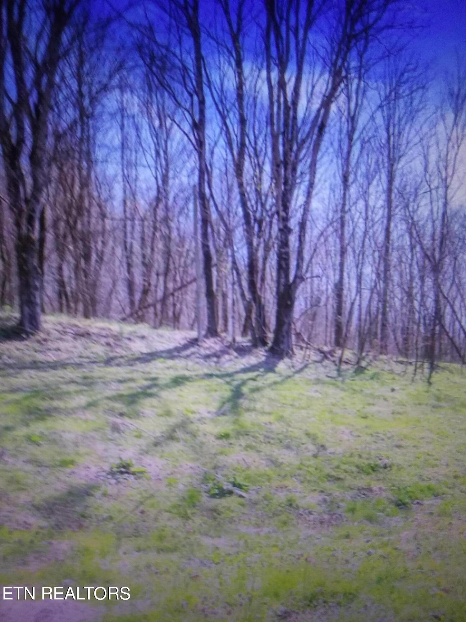 287 Edith Lane Washburn, TN 37888 - Photo 7 of 8 20231028_165844