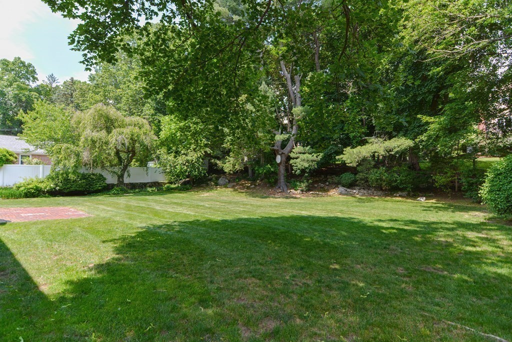 14 Columbine Road Newton, MA 02459 - Photo 30 of 36 a view of yard with green space