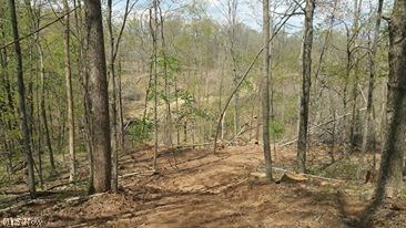Thompson Ridge Road Athens, OH 45701 - Photo 7 of 10