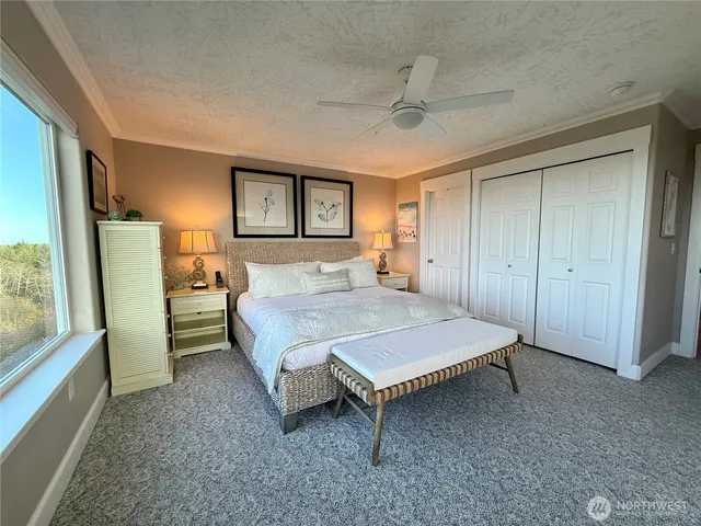 a room with a potted plant on the wall and a shower