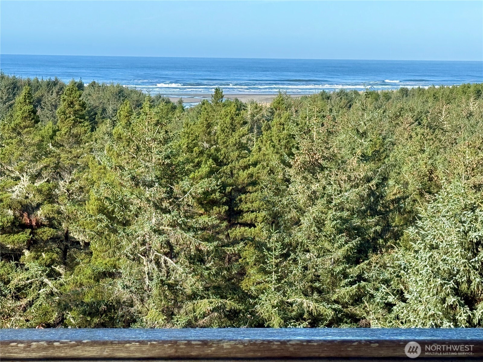 2815 Willows Road, Unit 210 Seaview, WA 98644 - Photo 34 of 35