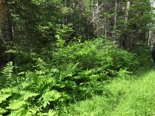 18325 South Sullivan Creek Road Rudyard, MI 49780 - Photo 24 of 30 Gallery Image 24