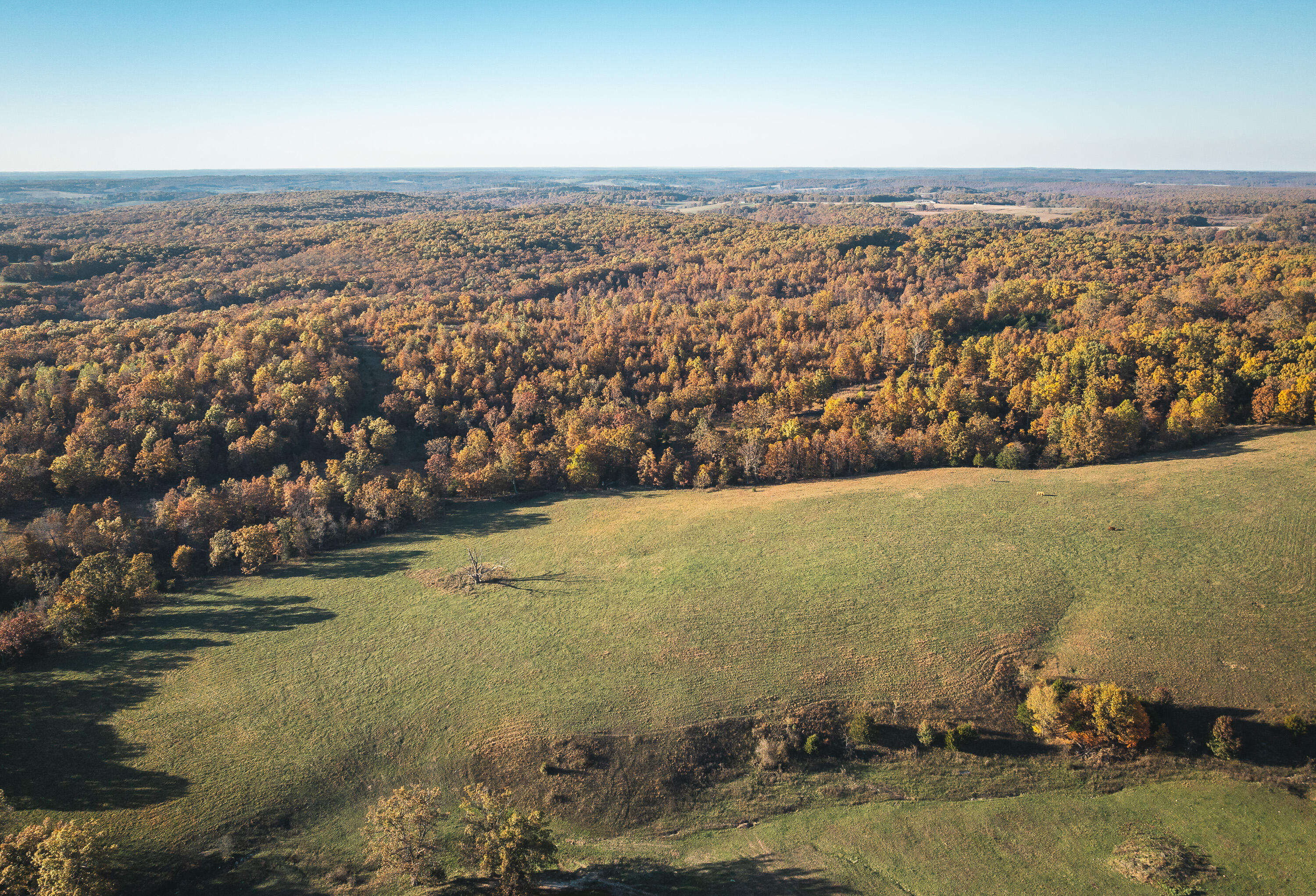6601 County Line Road Graff, MO 65660 - Photo 47 of 60 DJI_20251105094628_0191_D
