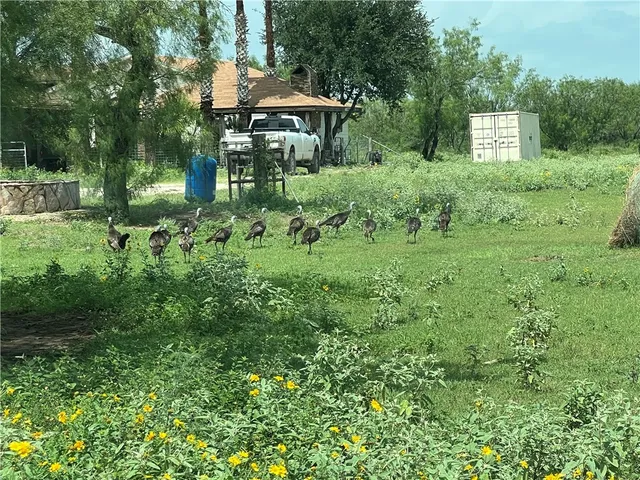 a view of a lake view