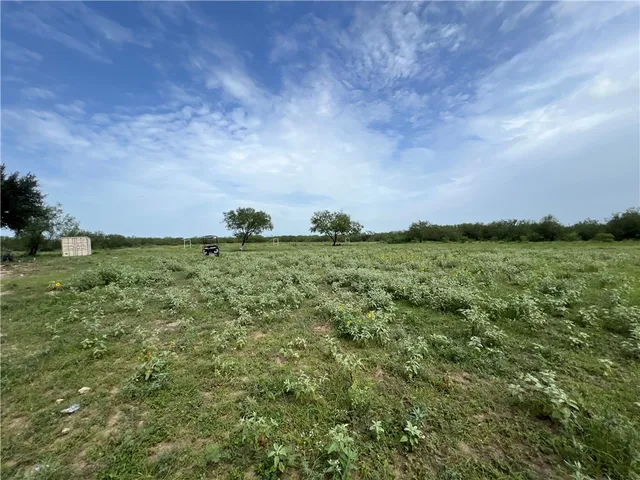 a view of a green field with lots of bushes
