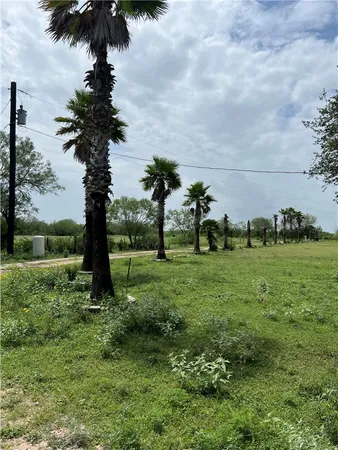 a view of park