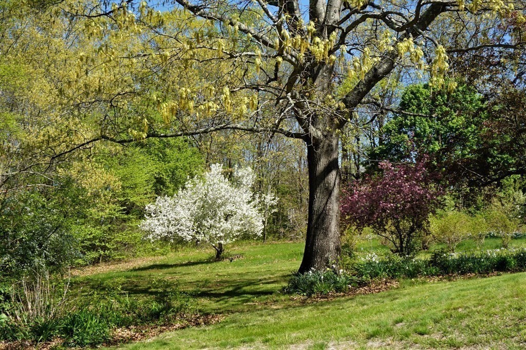 26 A Conlin Road Oxford, MA 01540 - Photo 33 of 37 Gallery Image 33