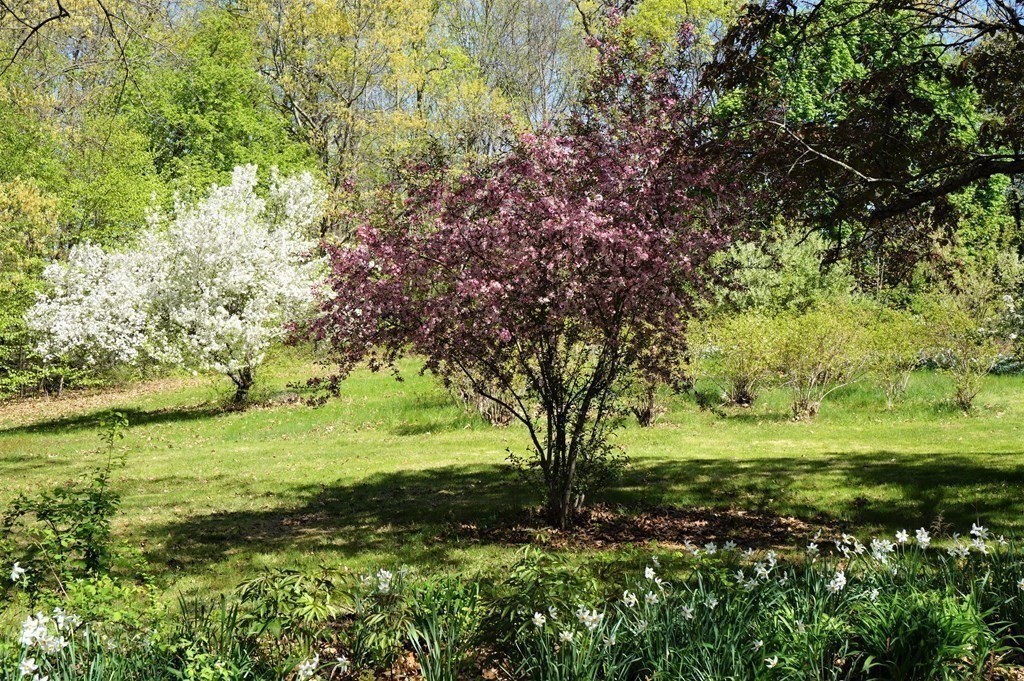 26 A Conlin Road Oxford, MA 01540 - Photo 34 of 37 Gallery Image 34