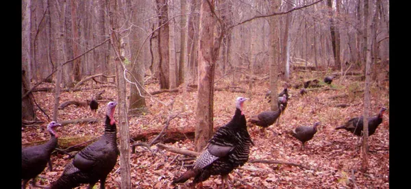 $116,000 | 4000 Sutton Road, Unit BLK, Tecumseh, MI 49286