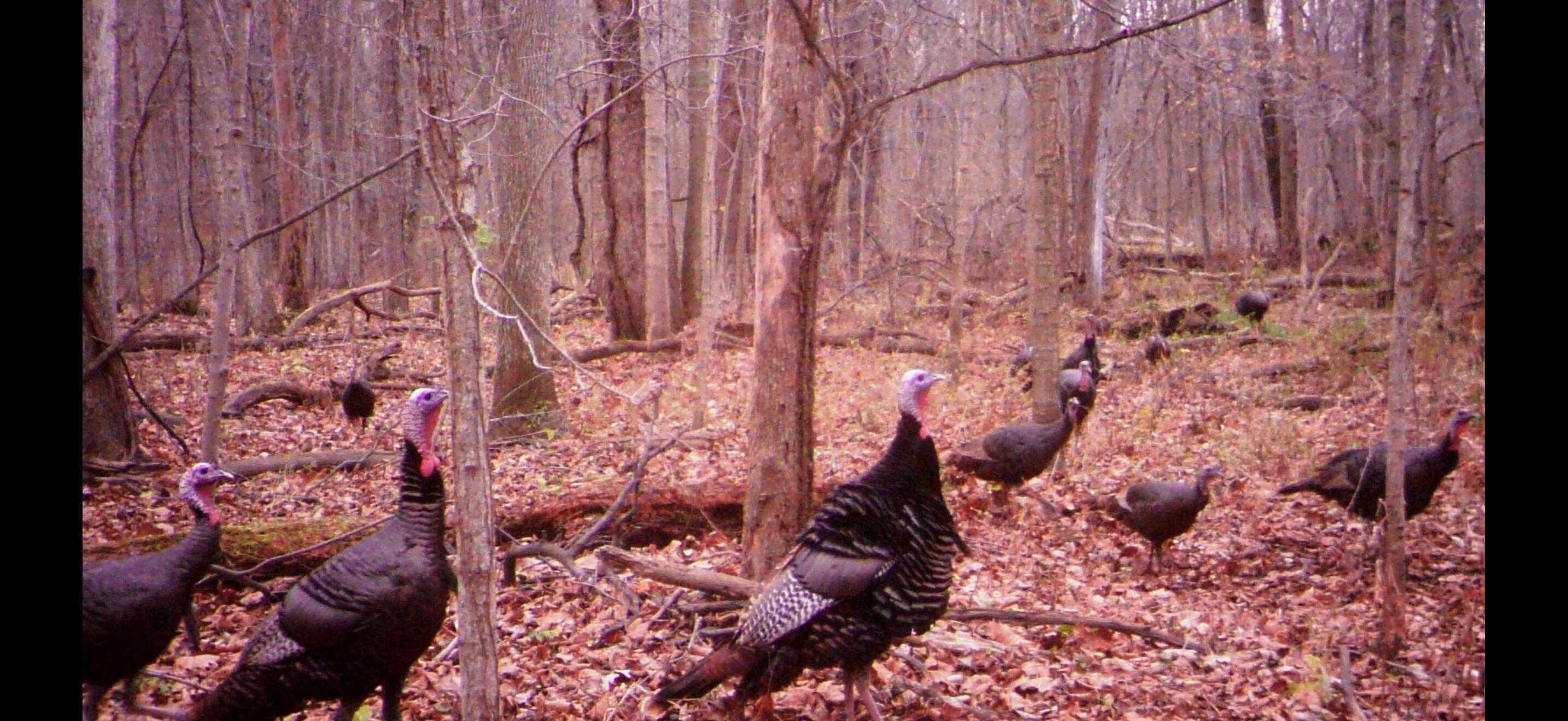 4000 Sutton Road, Unit BLK Tecumseh, MI 49286 - Photo 12 of 12 IMG_6107