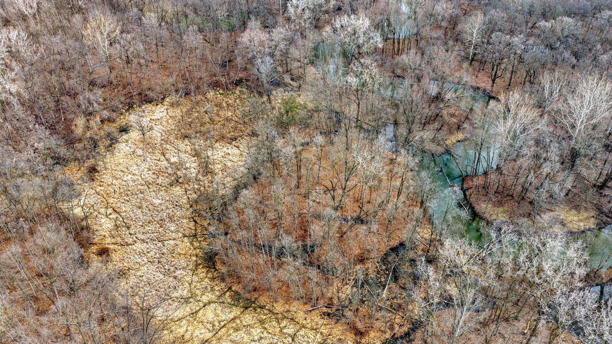 4000 Sutton Road, Unit BLK Tecumseh, MI 49286 - Photo 4 of 12 12-web-or-mls-DJI_20260330110457_0482_D_