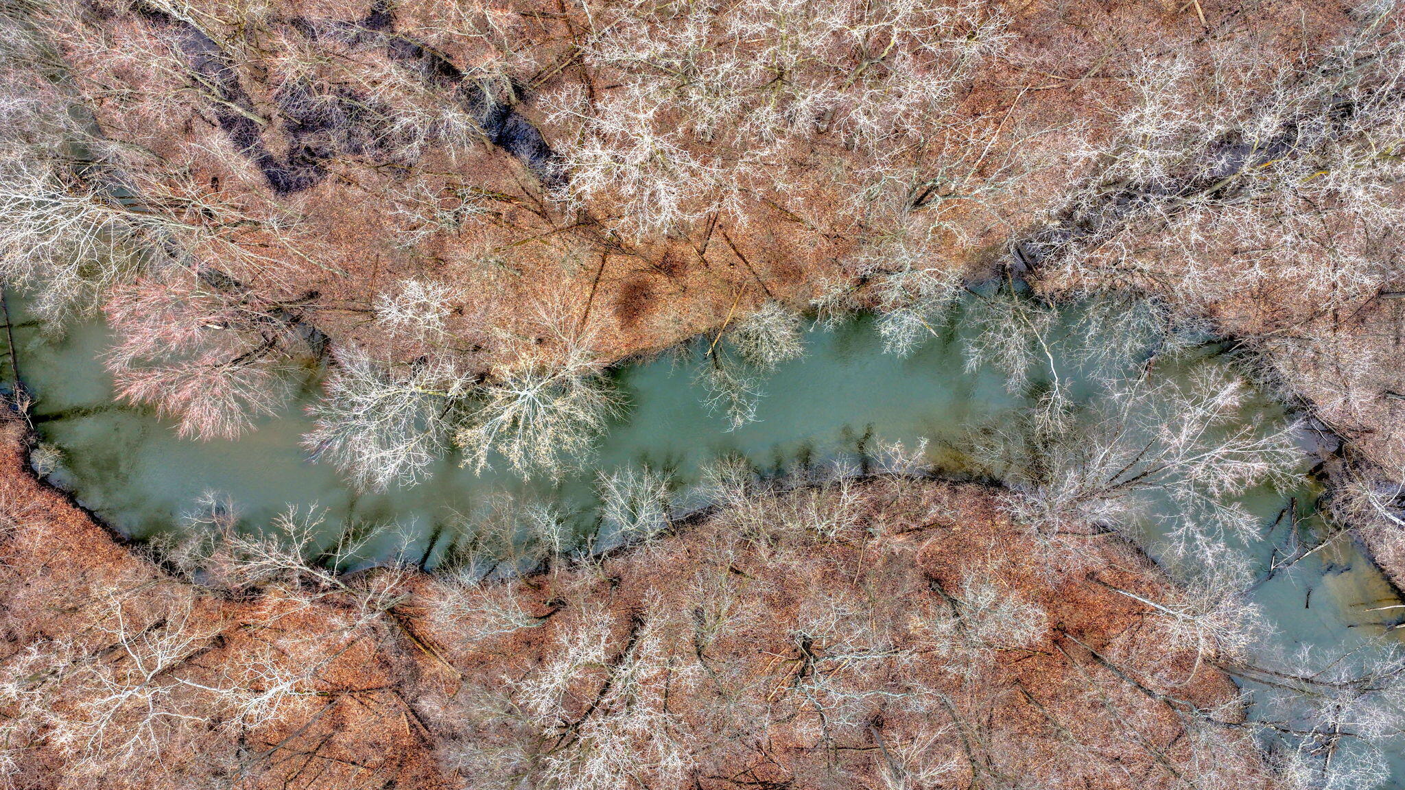 4000 Sutton Road, Unit BLK Tecumseh, MI 49286 - Photo 5 of 12 20-web-or-mls-DJI_20260330111433_0517_D_