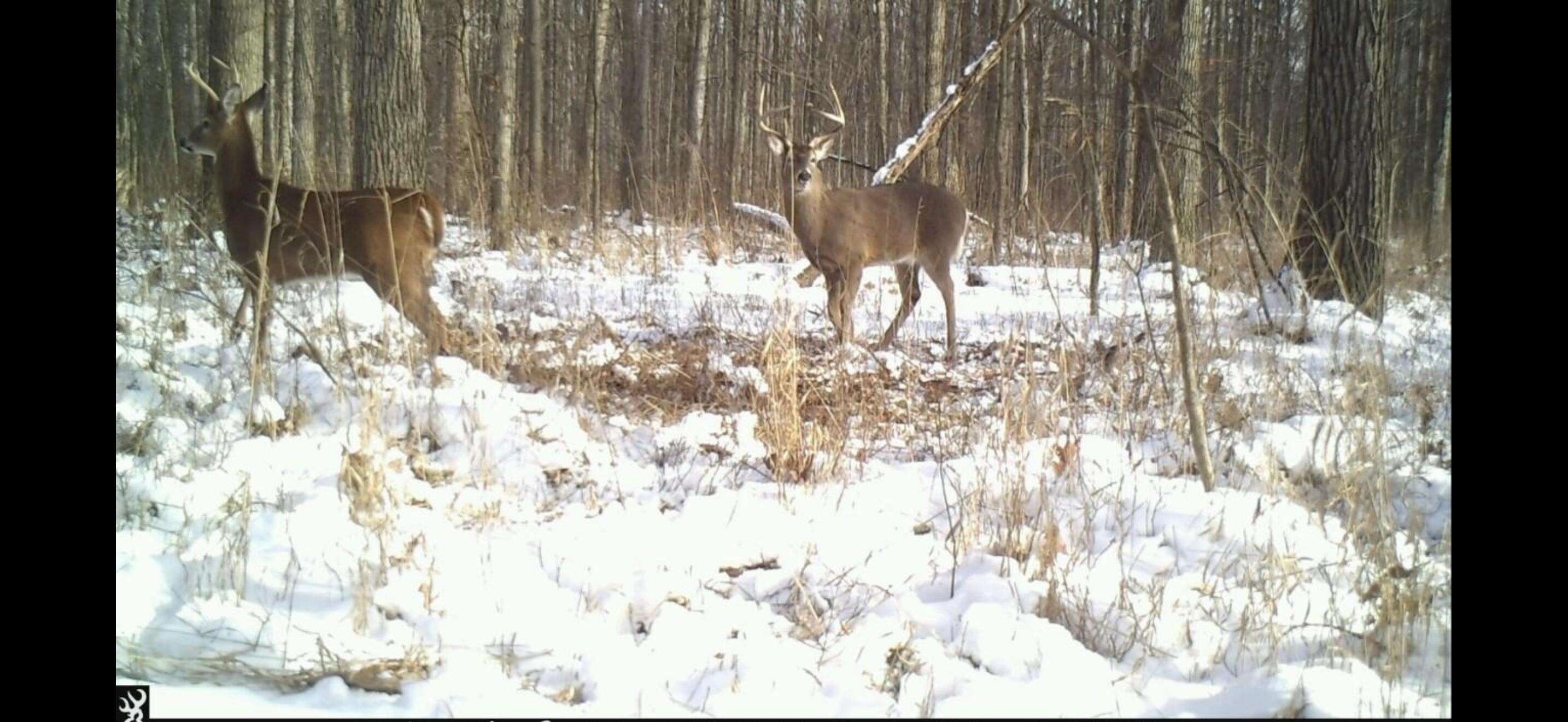 4000 Sutton Road, Unit BLK Tecumseh, MI 49286 - Photo 9 of 12 IMG_6103