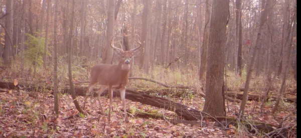 $116,000 | 4000 Sutton Road, Unit BLK, Tecumseh, MI 49286