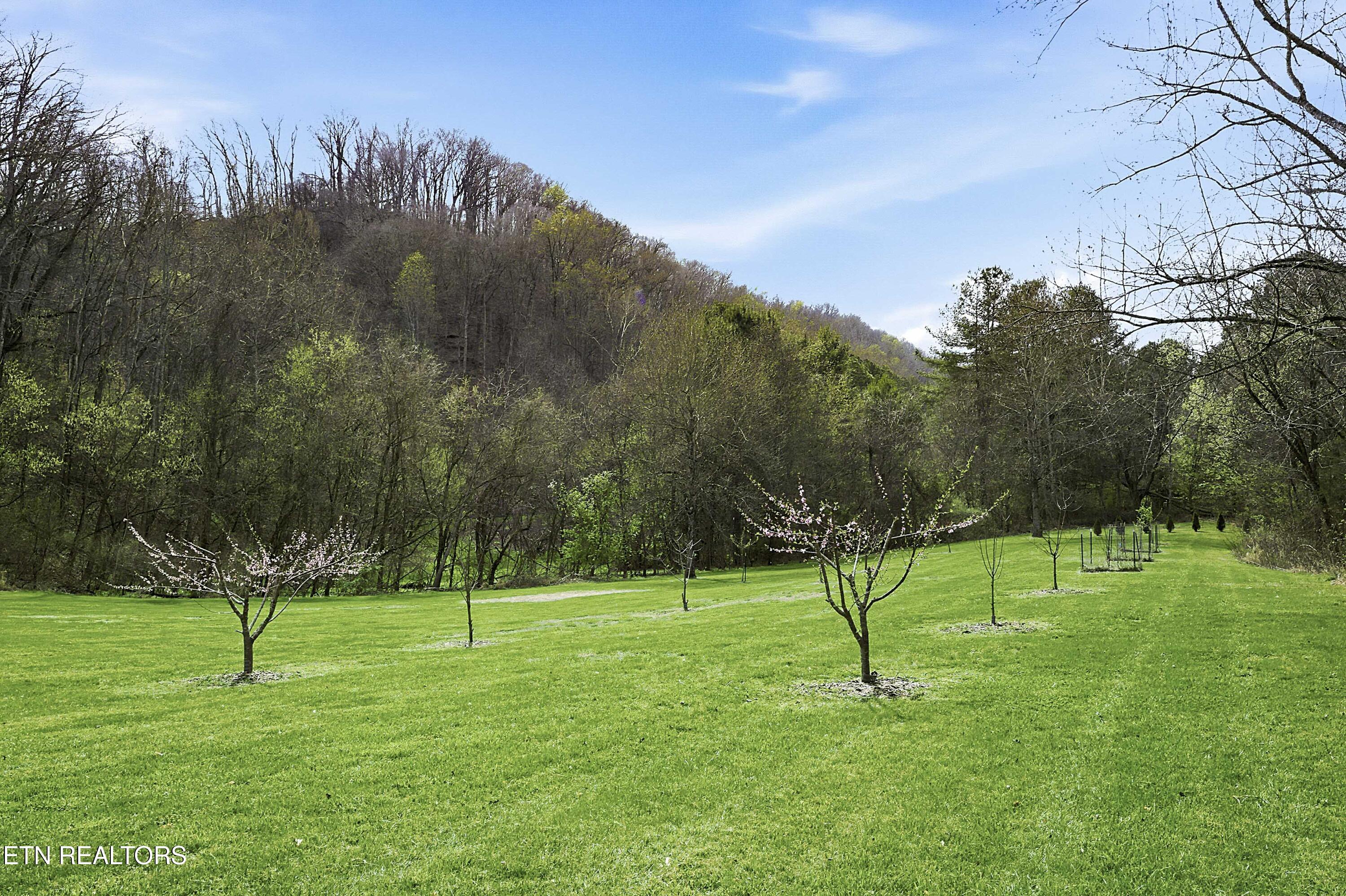 2740 McCammon Road Rockford, TN 37853 - Photo 56 of 56 L40A2602